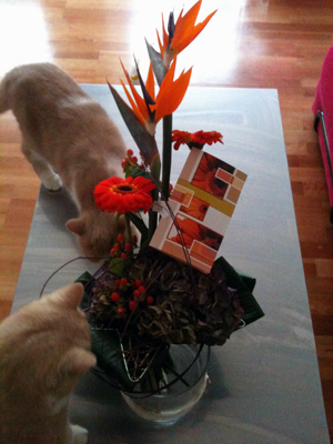 blomma1